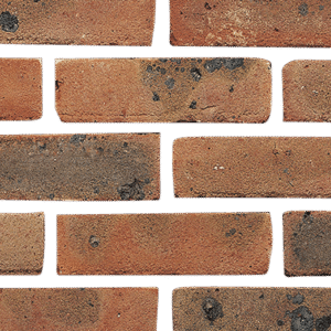 An image of a brick wall on a green background.