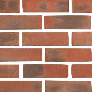 A brick wall with red and brown bricks on a green background.
