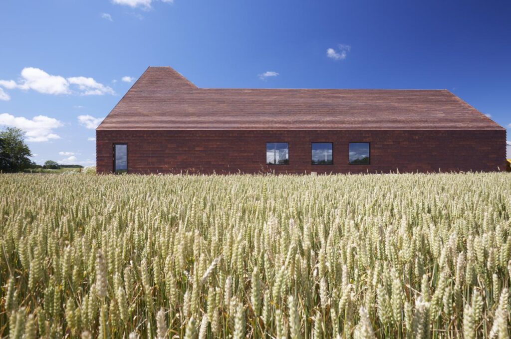 A red brick building with multiple windows sits behind a field of tall wheat under a clear blue sky.
