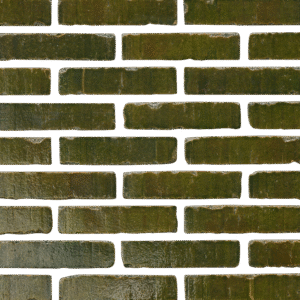 A close-up of a brick wall with MCPGZ0107 growing on the textured, weathered surfaces of the bricks.